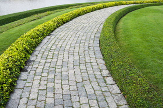 Pathways