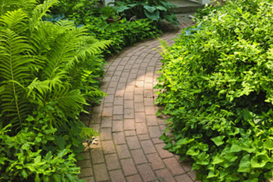 Pathways